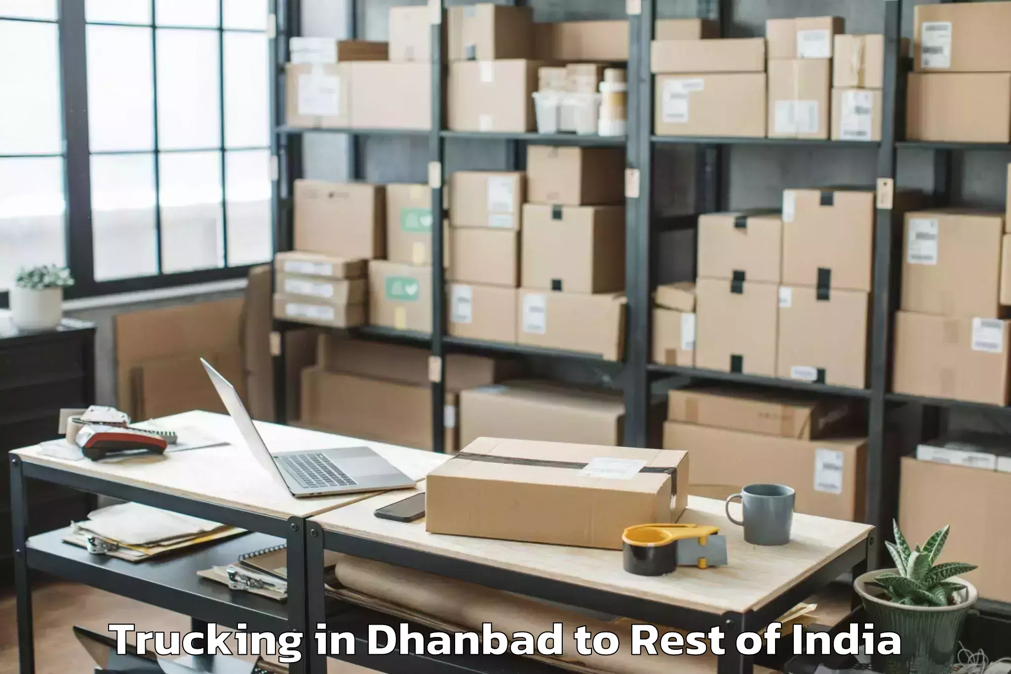 Easy Dhanbad to Soibugh Trucking Booking